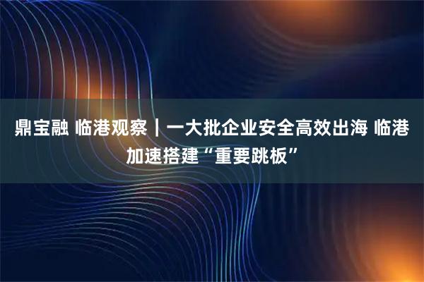 鼎宝融 临港观察｜一大批企业安全高效出海 临港加速搭建“重要跳板”