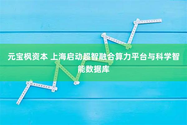 元宝枫资本 上海启动超智融合算力平台与科学智能数据库