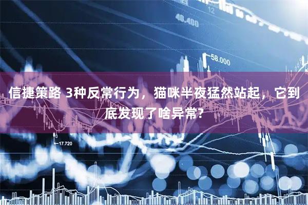 信捷策路 3种反常行为，猫咪半夜猛然站起，它到底发现了啥异常?