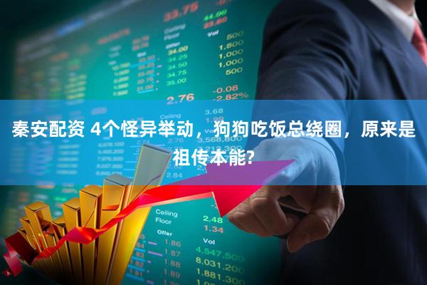 秦安配资 4个怪异举动，狗狗吃饭总绕圈，原来是祖传本能?