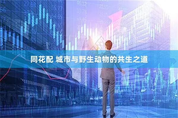 同花配 城市与野生动物的共生之道