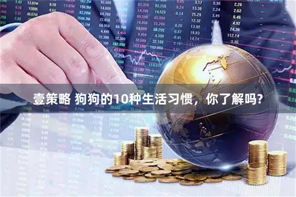 壹策略 狗狗的10种生活习惯，你了解吗?